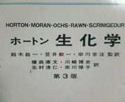 ���硡���أ���