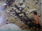 �ե�����ɼ̿�