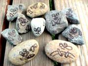 ���������̻���