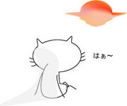 ��2007�����������ã