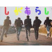 ★しがあらし★