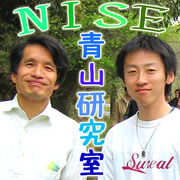 NISE �Ļ����漼