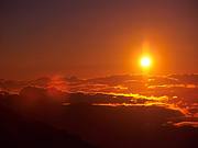 �ƥ˥�ƻ���Ʊ����