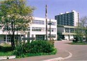 野幌若葉小学校