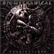 Biomechanical
