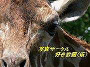 �̿��������빥������(��)