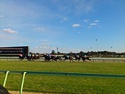 �ơ��ˡ��á�