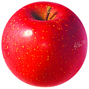 林檎パーティ「りんごのうた」