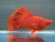 jsp/java study group