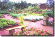 Let's go HERB GARDEN!!