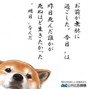 ���£�(�����ӡ��������)
