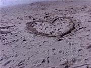 �ӡ���ȥݥƥȤȻ���������