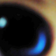 ��äѤ�ͷ��ϴ���ܤ�����