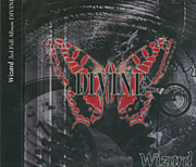 the divine which/Wizrad