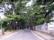 ���Ͳ�ξ���57ǯƱ�������ߥ�