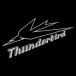 TRIUMPH 6T THUNDERBIRD