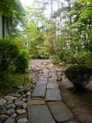 ���������ʪ�񸻲ʳ�������ƻ��