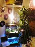 �����ޤä���Ǯ�ӵ�