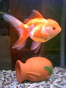 自慢のペット大集合(^^ゞ♪