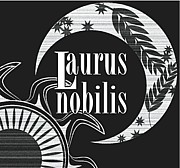 Laurus nobilis