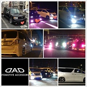 �������� ��¤�� in�����