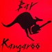 BAR Kangaroo
