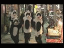 night pandas
