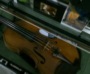 大学からヴァイオリン始めました
