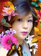 ����������������¡�