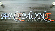 ANEMONE Happy hair Life