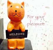 ���ղ��For your pleasure