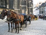 ��������ѻ��½�