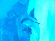 なごやか？東海ちゃんねる＠IRC