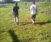 ��������ʳƮ��NPOˡ�ͤޤ����