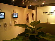 YAMUNA  STUDIO