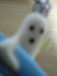 ALMON