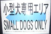 駒沢公園ドッグラン小型犬ｴﾘｱ