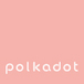 polkadot(Goods Lab)