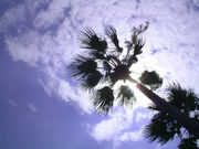 ����Ω�ܺ���ع�Φ����