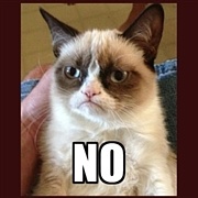 Grumpy Cat