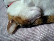 �����ꡧ����