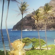 �ڥå��꡼�����