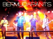 BERMUDA PANTS�ʥХߥѥ��