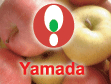 Yamada store