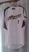 HARRIER BASEBALL TEAM