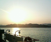 ���γطݿʳإ����ǥߡ�