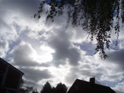 �����sverige��