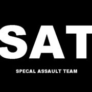 SATspecal assault team