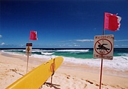 SURFSNOW