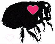 �Υߤο�¡���ޤ졪��